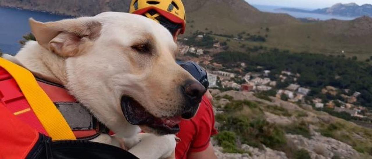 Rescatadas dos personas y un perro labrador en la Serra de Tramuntana