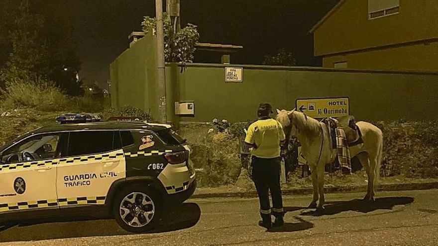 La Guardia Civil intercepta al caballo y a su jinete. // G. C.