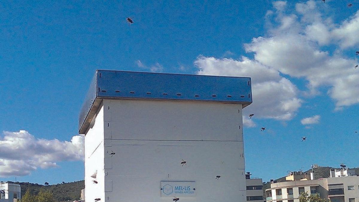 Una de las colmenas que Viladecans ha instalado en el municipio para el proyecto 'Bee Happy'.