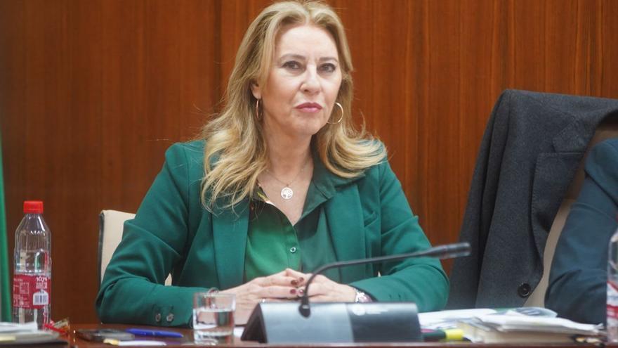 Carolina España, durante una comparecencia.