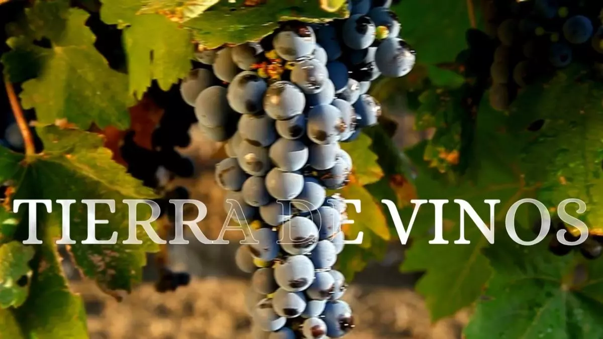 Comunitat Valenciana: tierra de vinos… únicos