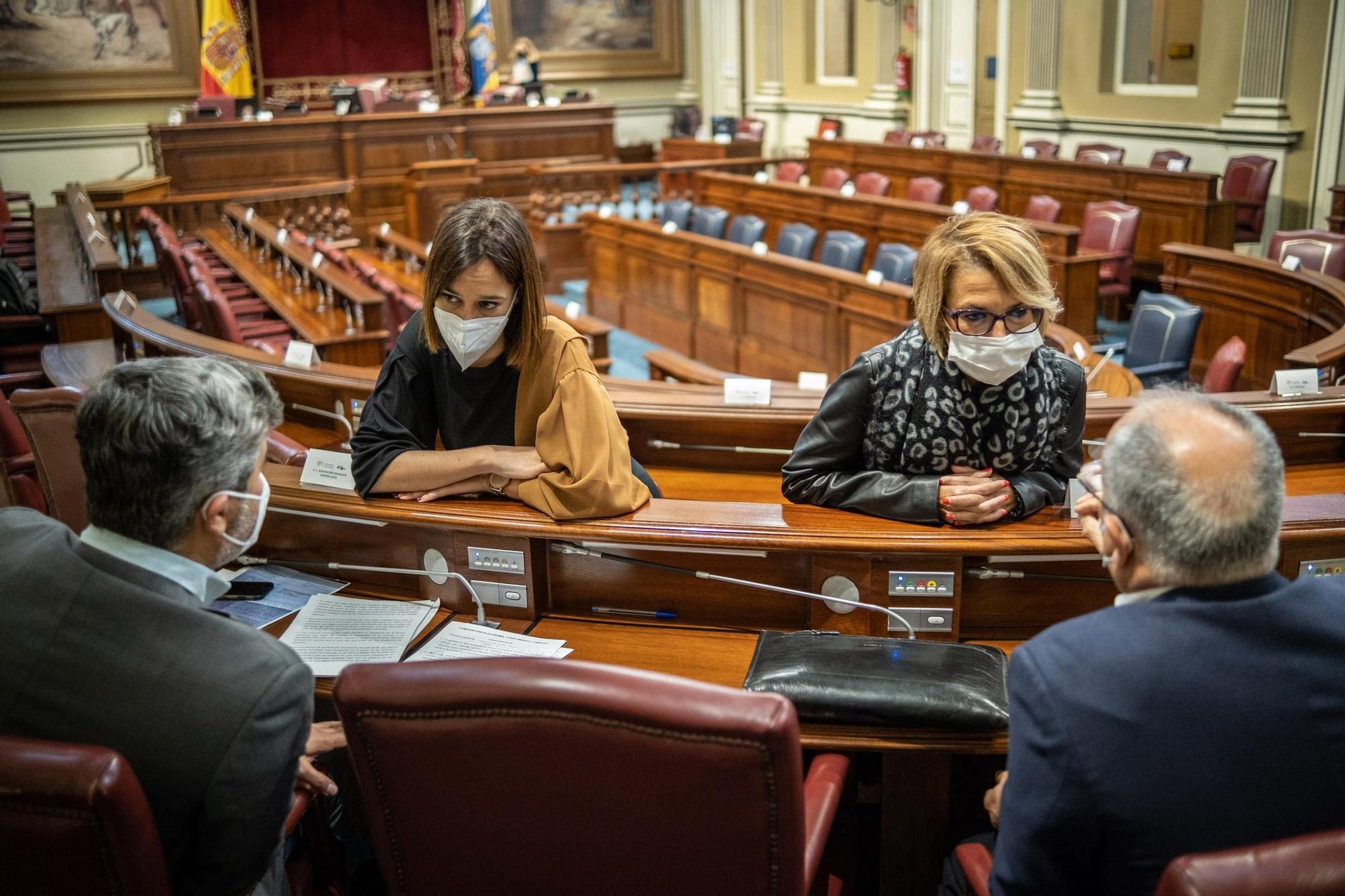 Pleno del Parlamento de Canarias | 10-2-2021