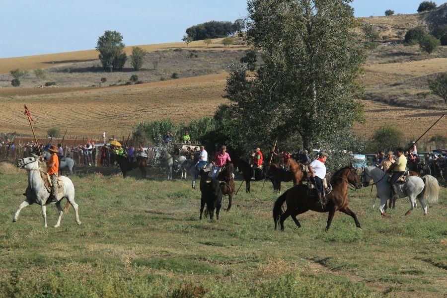 Encierro taurino en San Miguel de la Ribera