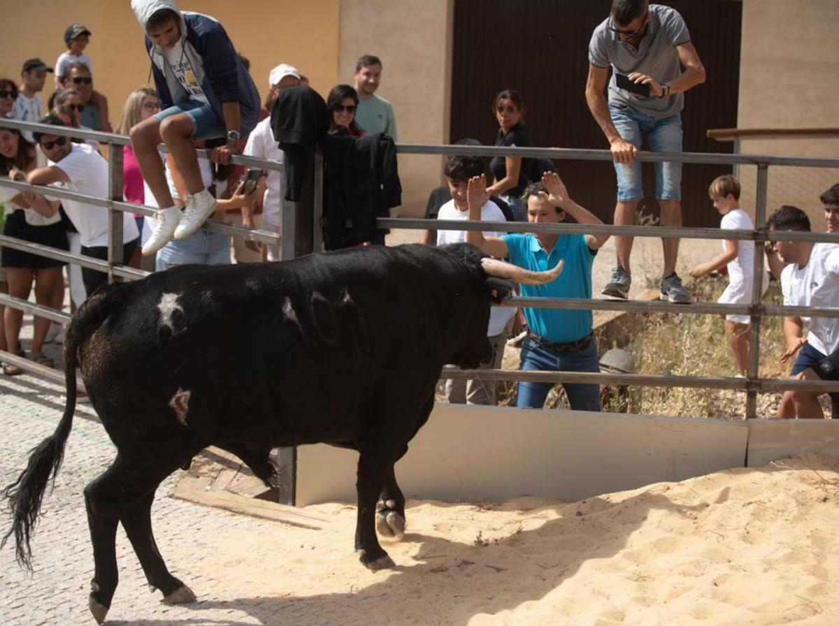 Villalpando vibra entre toros y caballos