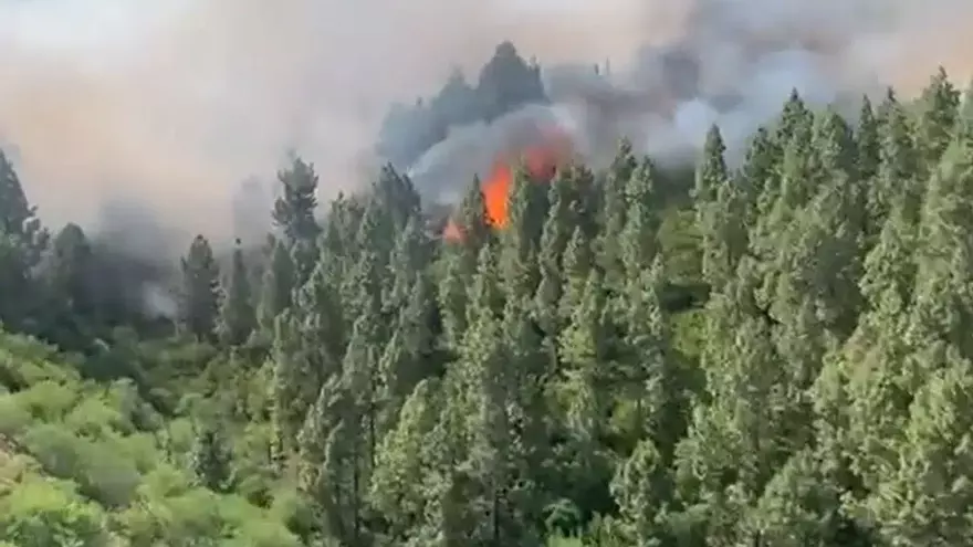 Conato de incendio en Tenerife