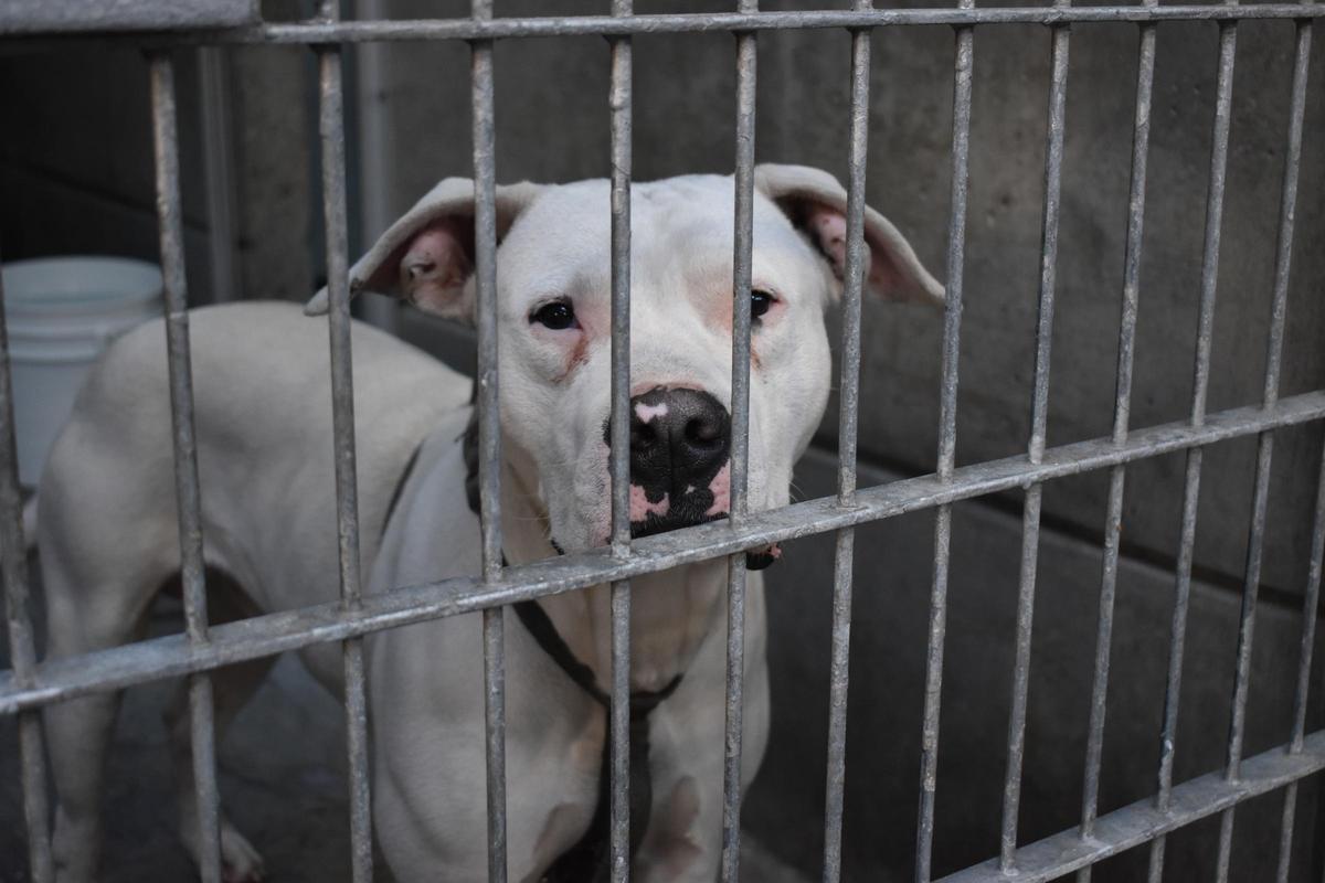 La mujer ha sido asistida en el lugar por un equipo médico de urgencia y trasladada al Hospital Universitario Torrecárdenas de Almería.