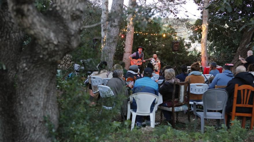 Musik im Zauberwald: Bei diesen Konzerten auf Mallorca ist die Stimmung magisch