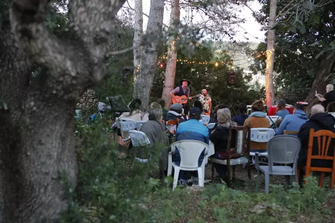 Zauberhaft: Impressionen von einem Konzert im magischen Wald bei Manacor