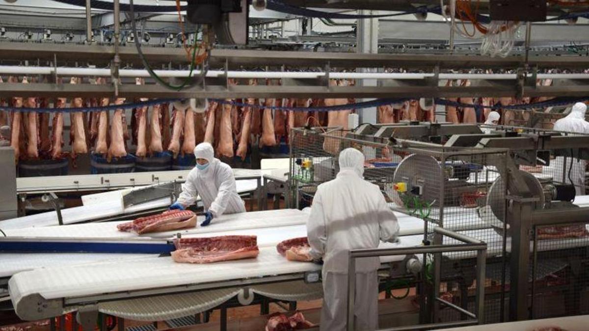 Varios trabajadores en el matadero porcino de Litera Meat en Binéfar, una de las empresas que más crece.