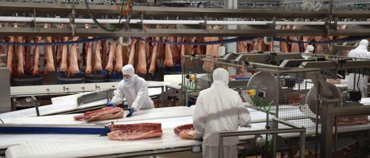 Varios trabajadores en el matadero porcino de Litera Meat en Binéfar, una de las empresas que más crece.