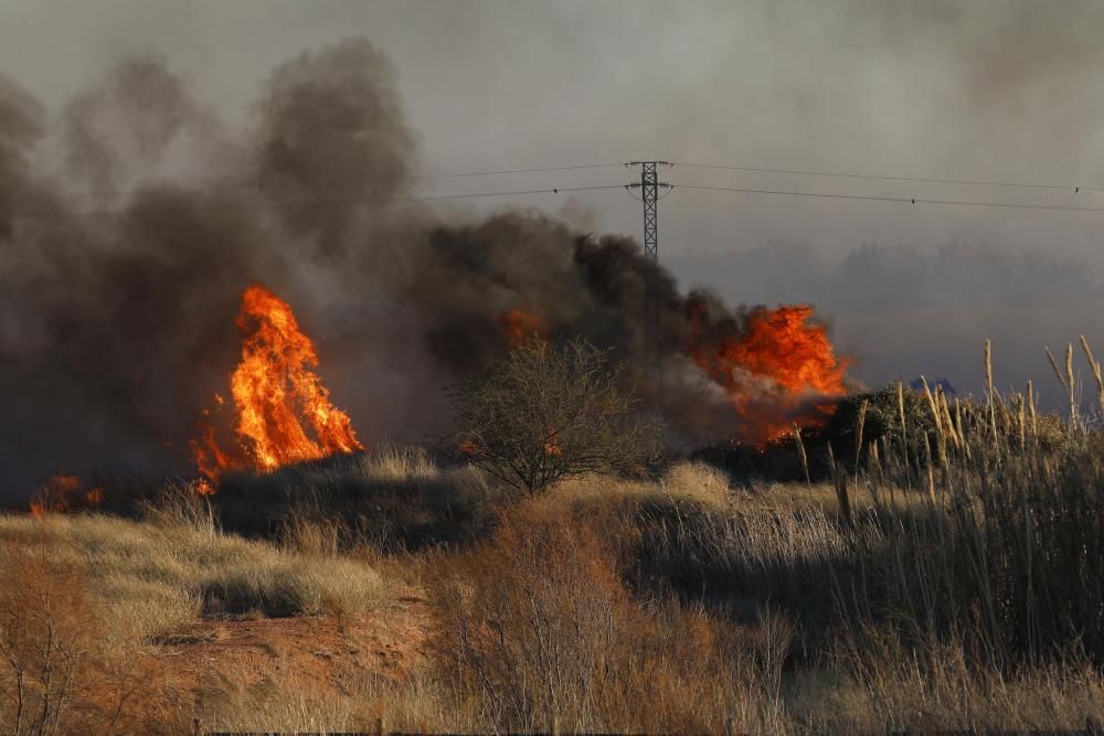 Incendio forestal en el Marjal dels Moros en Sagunt