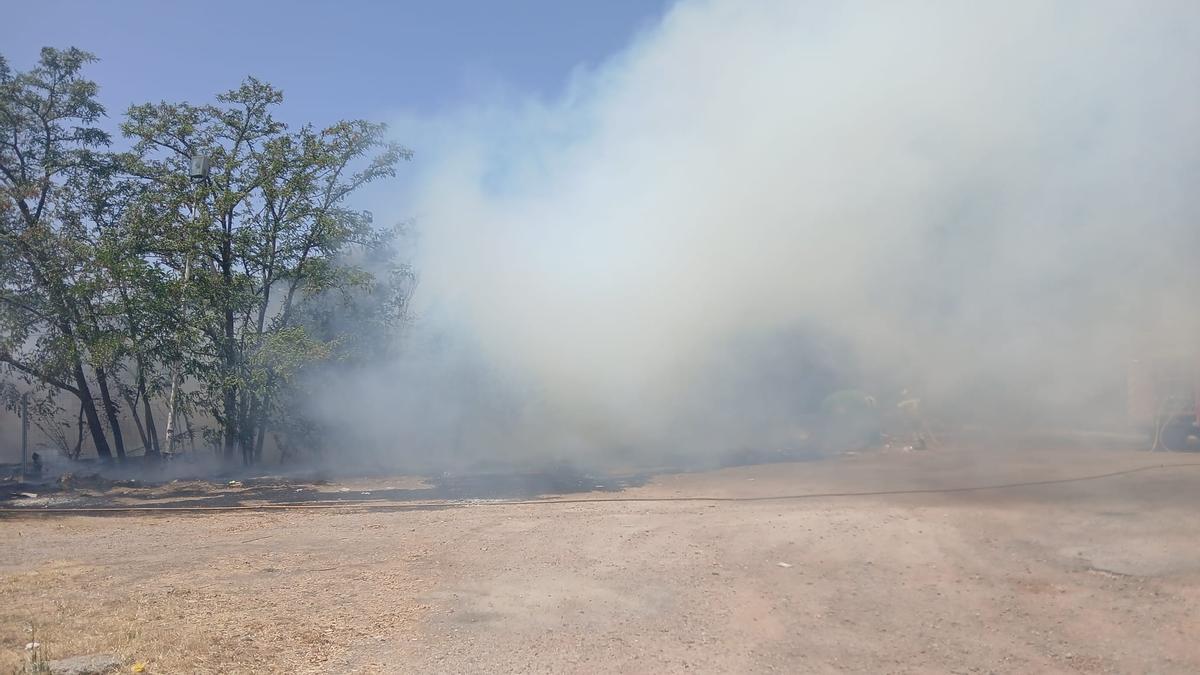 El incendio afectó a media hectárea de pastos.C