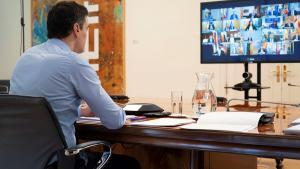 El presidente del Gobierno, Pedro Sánchez, durante una por videoconferencia con los presidentes de las comunidades autónomas, el 12 de abril.