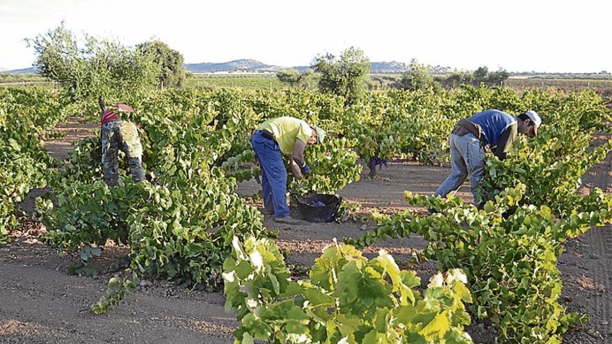 La consejera de Medio Ambiente asegura que las últimas reformas de la PAC generan desempleo