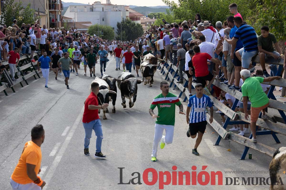 Primer encierro de la Feria del Arroz de Calasparra