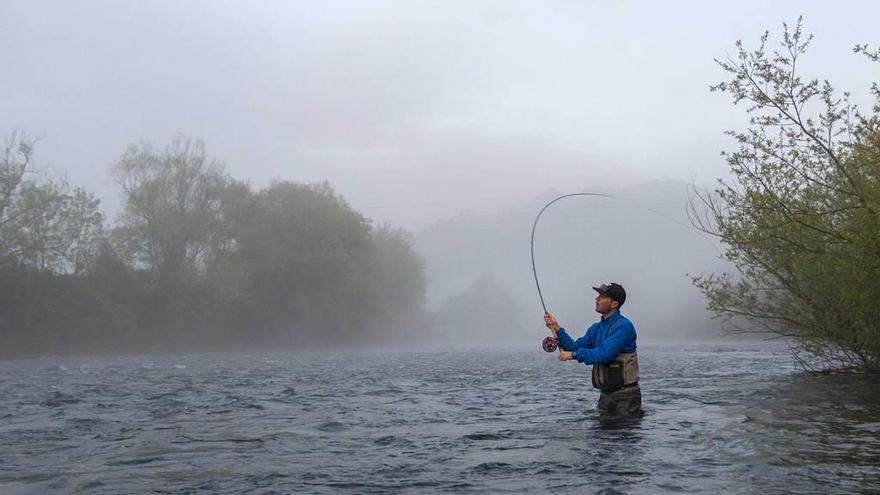 Criar salmones en cautividad perjudica gravemente a la especie, según los expertos