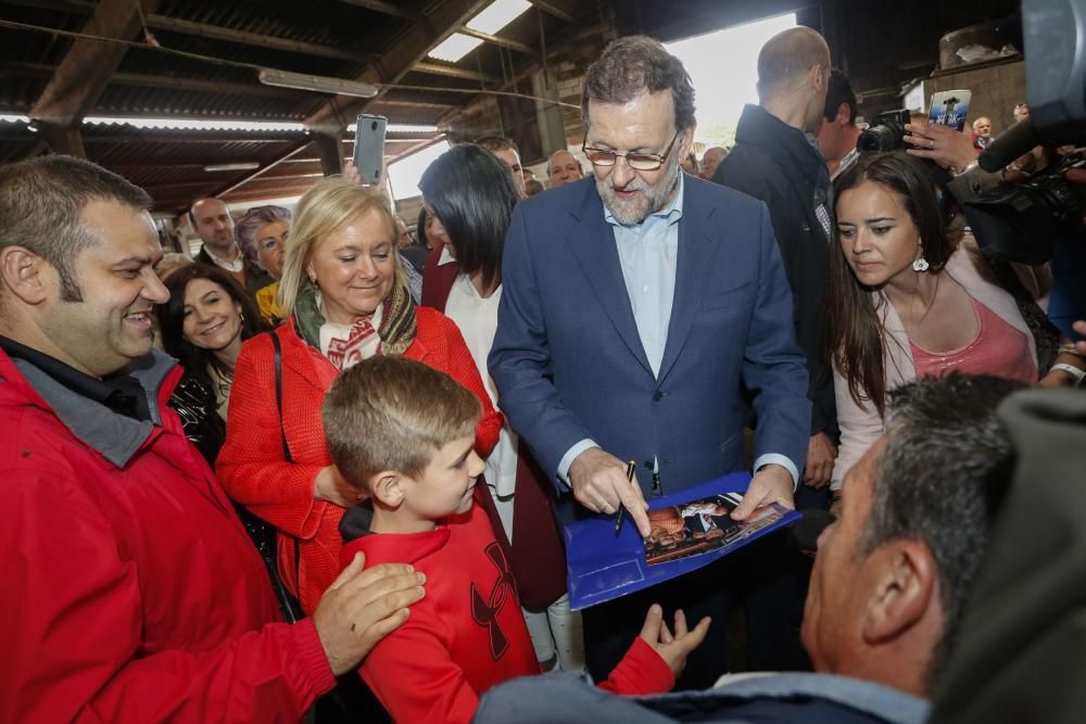 Visita de Mariano Rajoy a una ganadería en Gozón (Asturias)