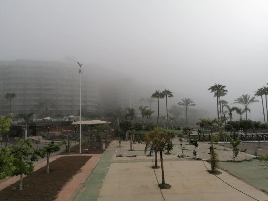 La niebla engulle Mogán