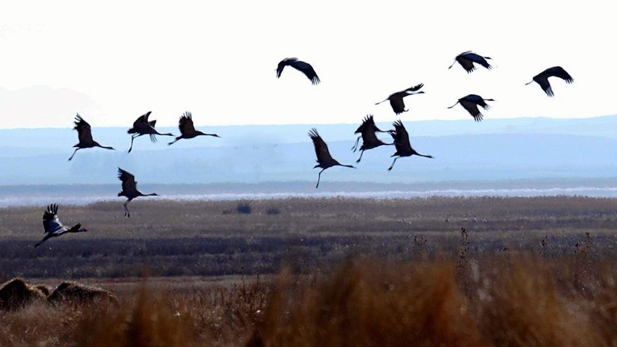 De rutas inclusivas a avistamiento de grullas: estas son algunas experiencias de turismo que puedes vivir en Aragón este otoño