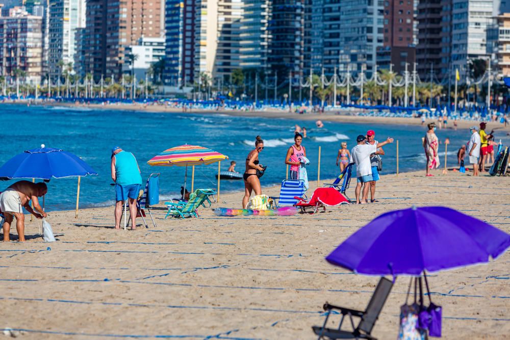 Colas de acceso a la playa el primer día de puesta en marcha del sistema de reservas de parcelas.