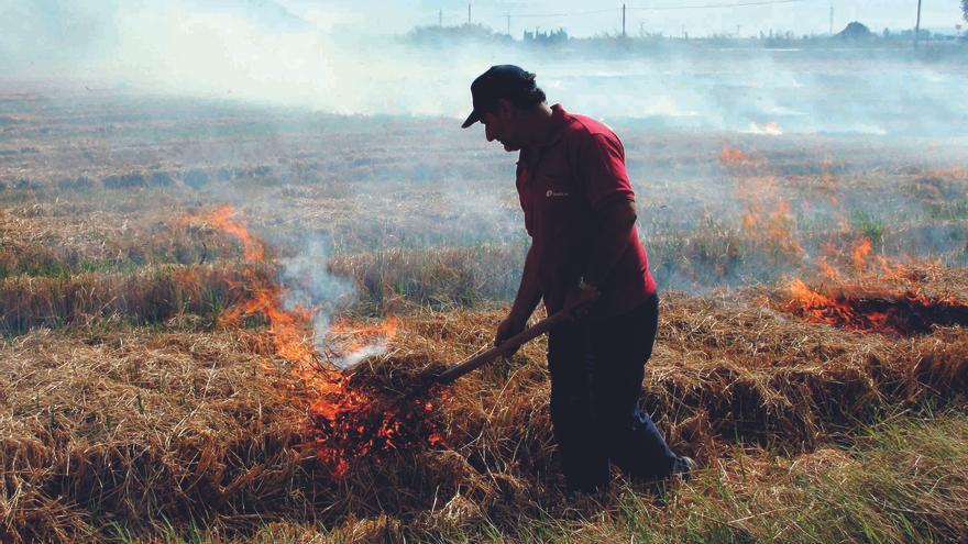 La orden de la Junta de Andalucía sobre quema de restos vegetales pasa a exposición pública