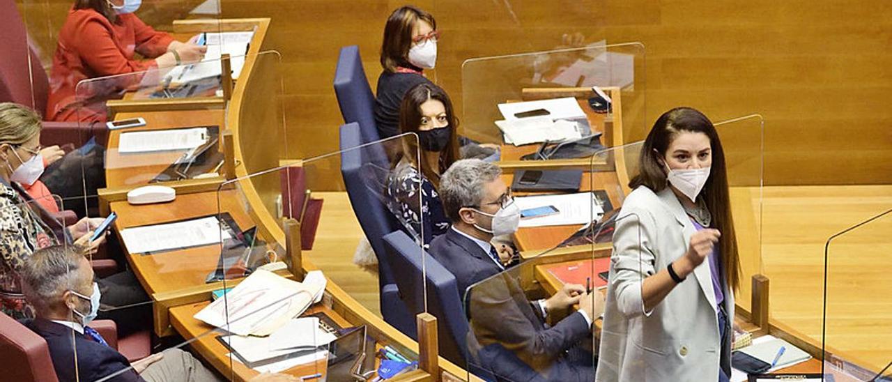 La consellera de Agricultura y Medio Ambiente, Mireia Mollà, ayer en las Corts. | LEVANTE-EMV