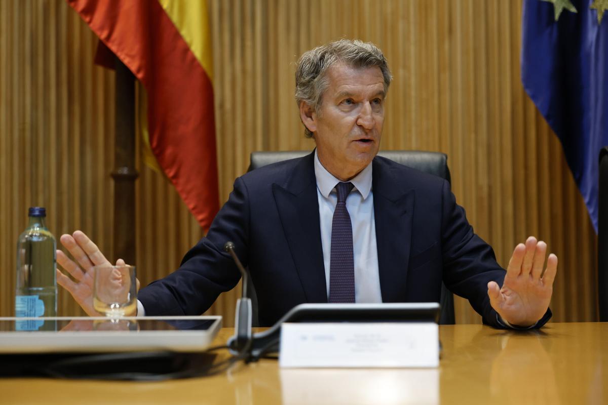 El presidente del Partido Popular, Alberto Núñez Feijóo, en la reunión que ha organizado con los diputados de sus grupos parlamentarios para concretar la estrategia de la formación para las próximas semanas. 14 de abril de 2026