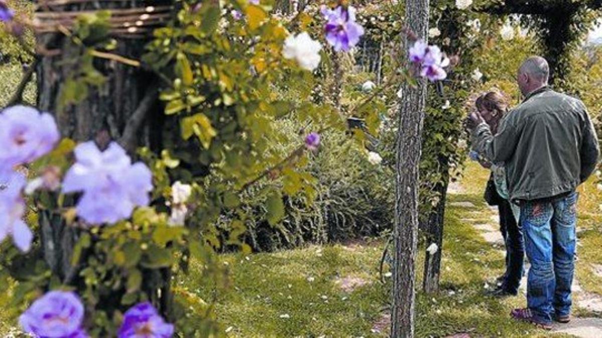 Una pareja disfruta de la rosaleda del parque de Cervantes, ayer por la mañana.