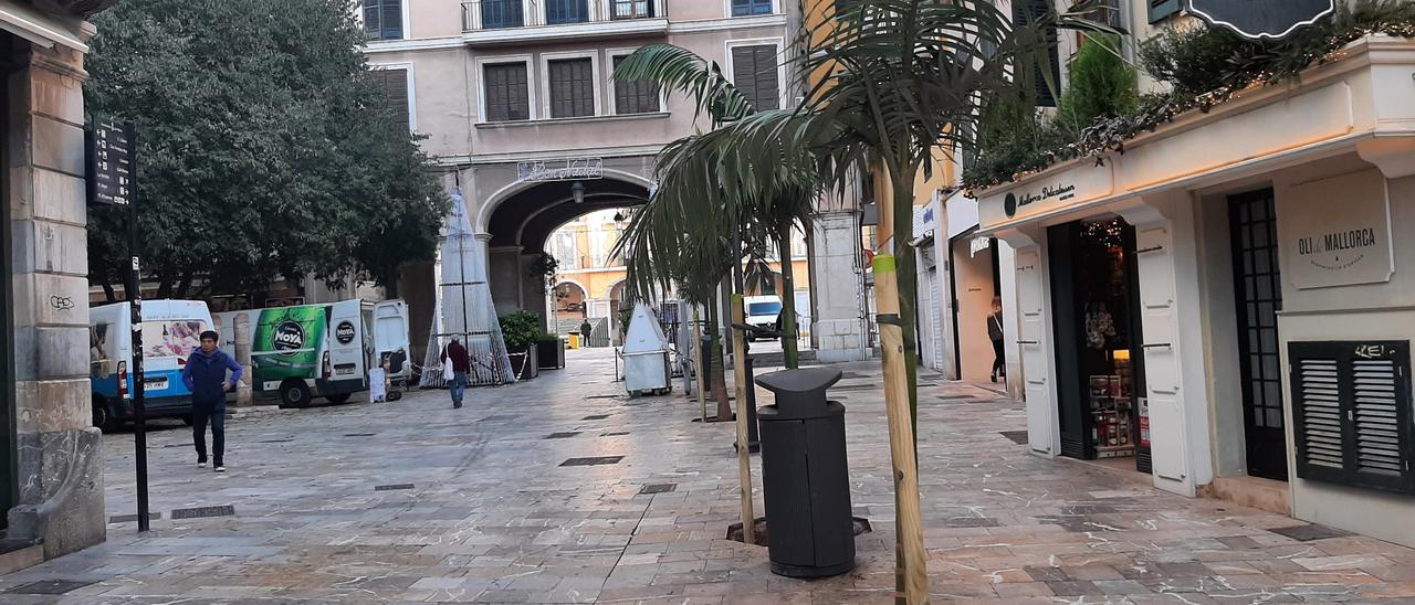 Las palmeras sembradas en la plaza de Marquès del Palmer.