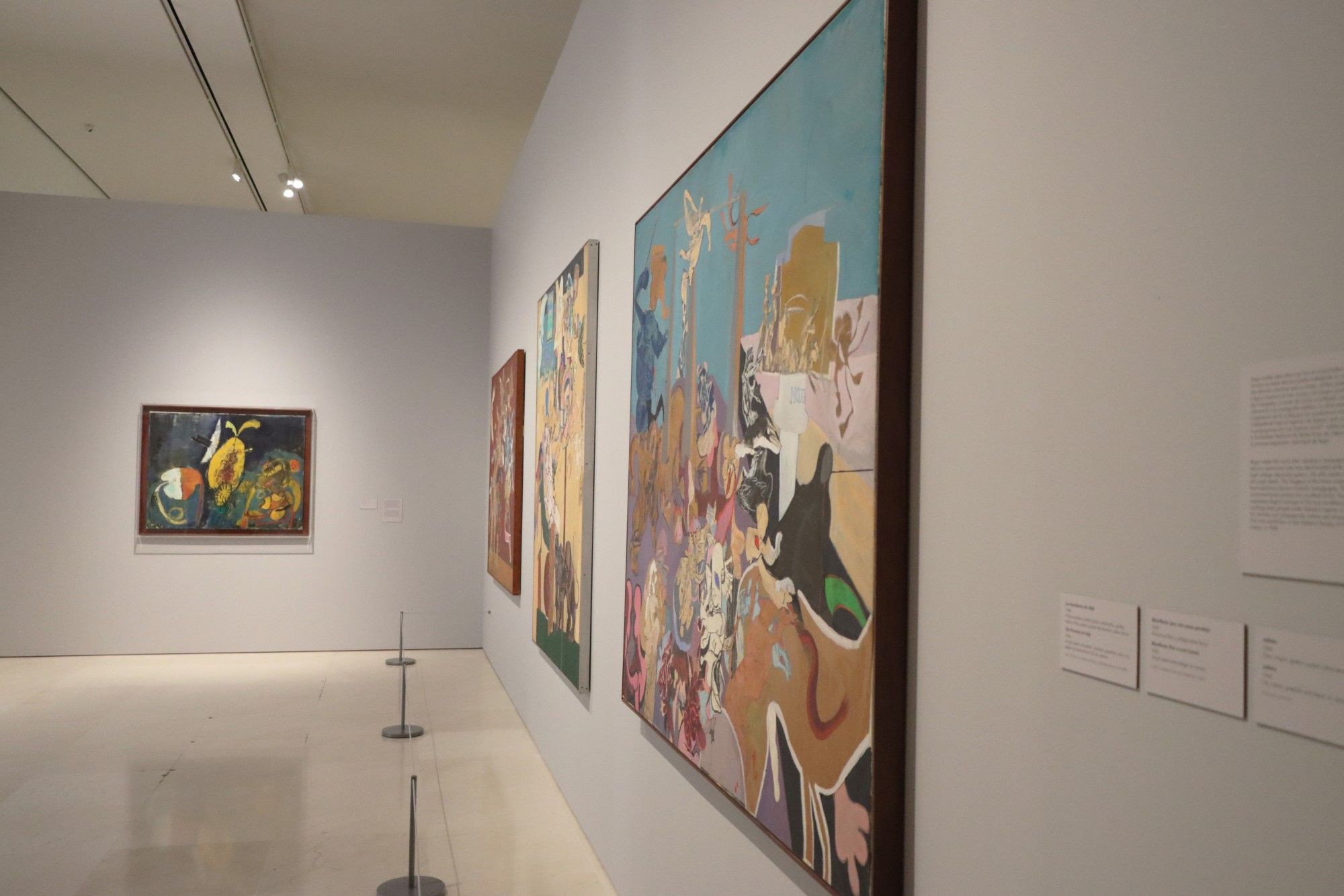 Exposición 'Paula Rego' en el Museo Picasso Málaga