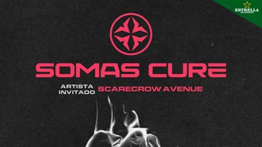 Somas Cure + Scarecrow Avenue