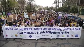 Manifestación del 8M en Córdoba: una sola marcha, un objetivo y división de opiniones