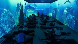 Fitnesde ciència-ficció