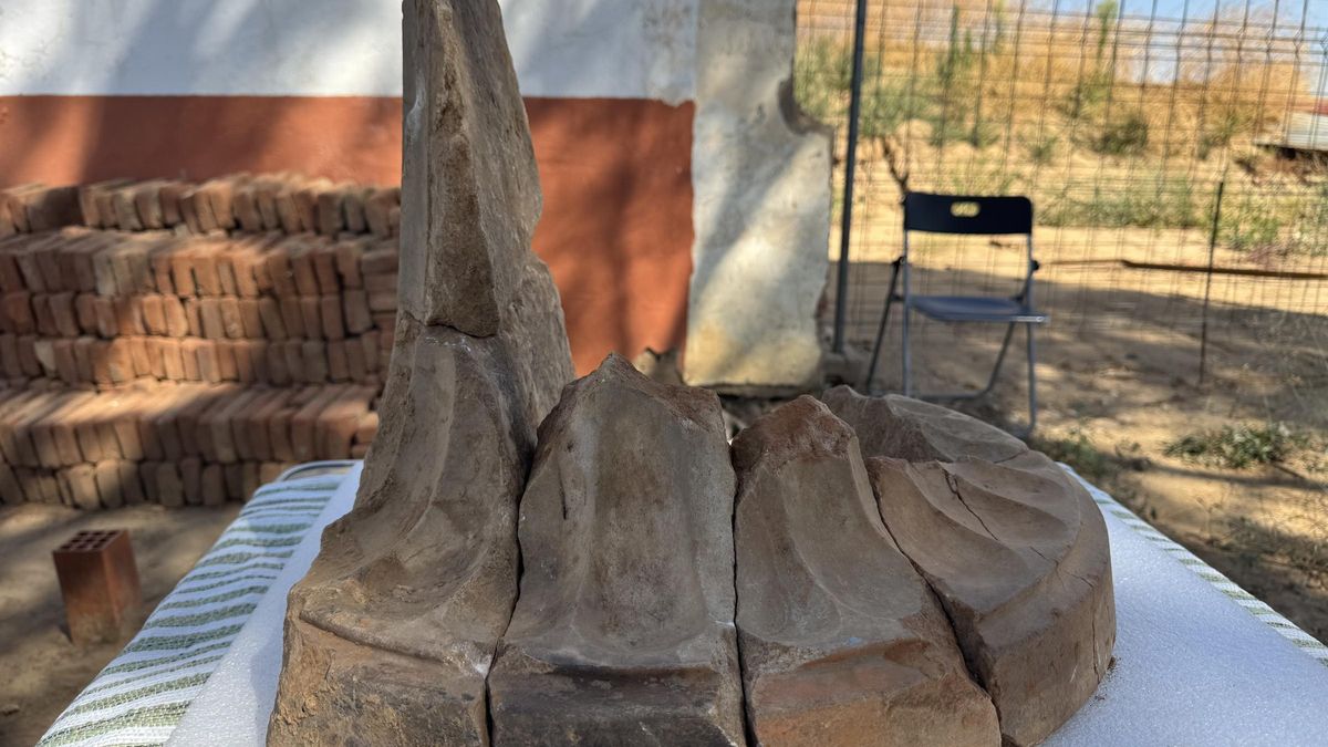 Vídeo | Los hallazgos únicos del yacimiento del Turuñuelo