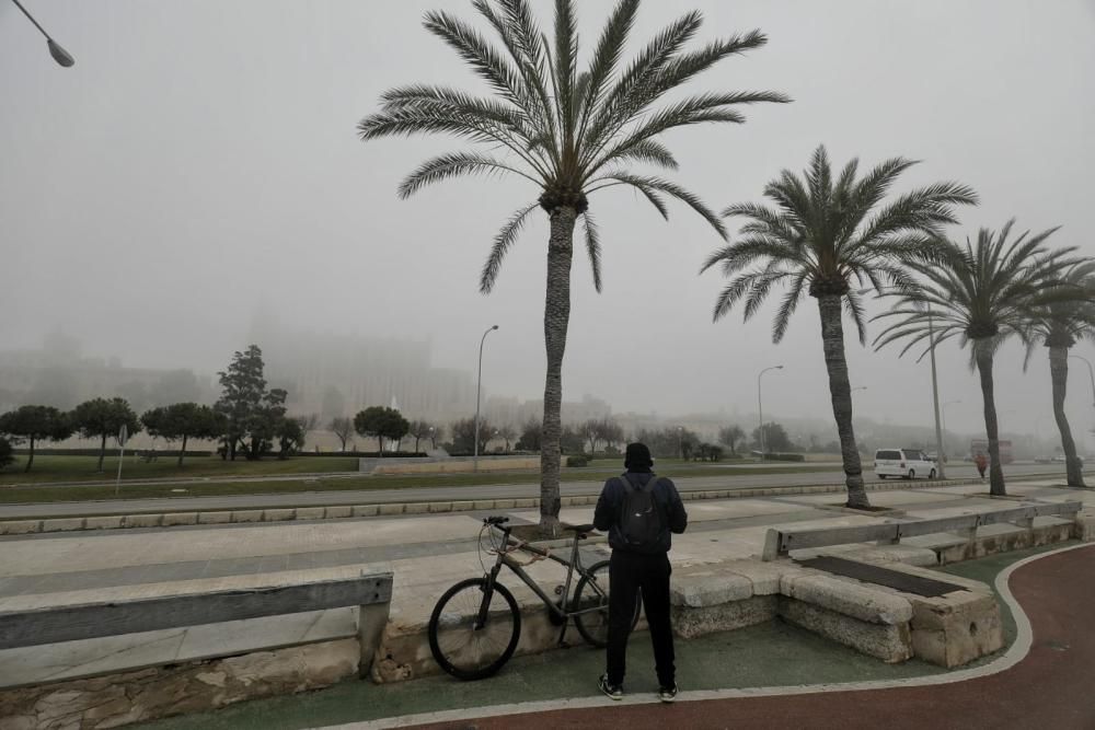 Palma amanece cubierta de niebla