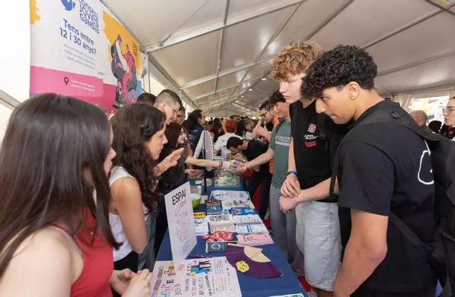 La Universitat de València pierde 1.700 estudiantes de la Safor, la Marina y la Ribera Baixa desde 2020