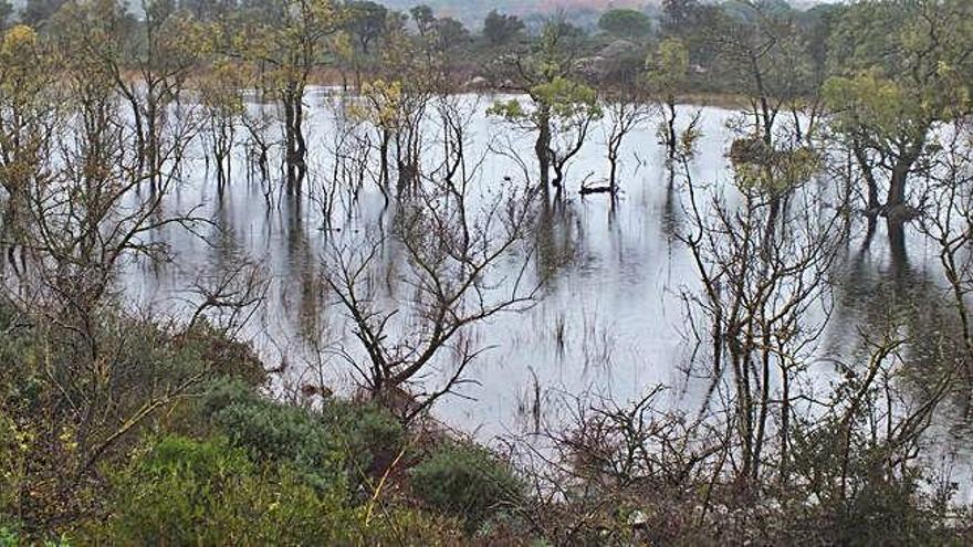 L&#039;estany que demanen que es protegeixi.