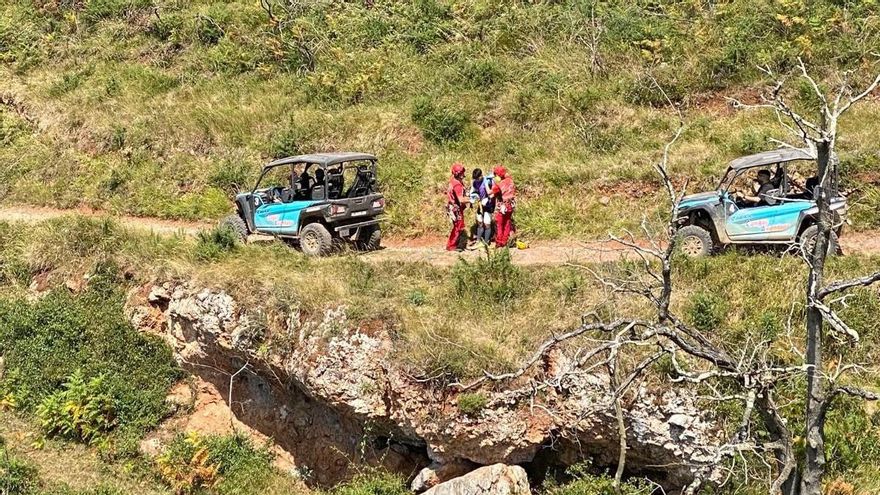 Grave ataque de un perro en Cangas de Onís: el herido, evacuado en helicóptero al hospital