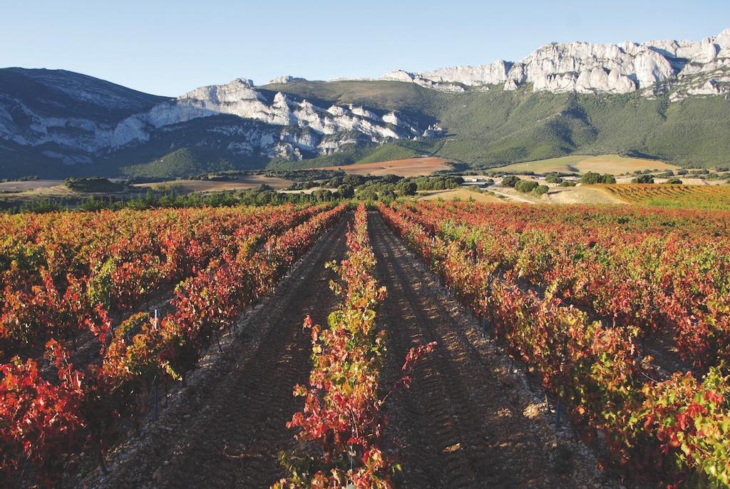 Viñedos y Sierra Roja alavesa