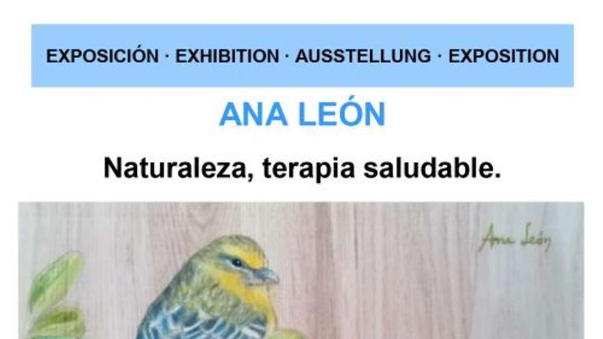 Naturaleza, terapia saludable de Ana León