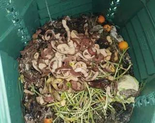 Vila de Cruces se suma al programa de compostaje doméstico de Sogama