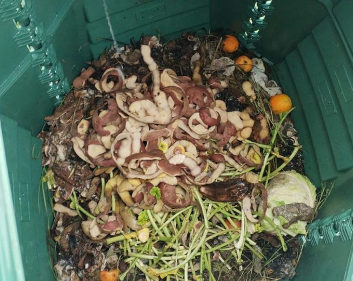 Restos de frutas y verduras en un compostador. |