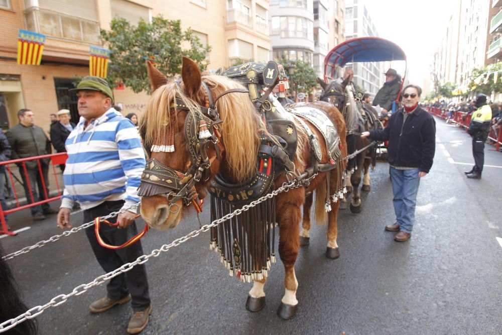 Sant Antoni en Valencia 2017