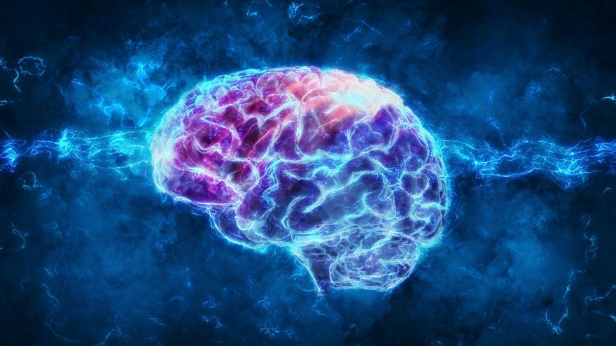 El estudio del cerebro: uno de los grandes retos de la ciencia