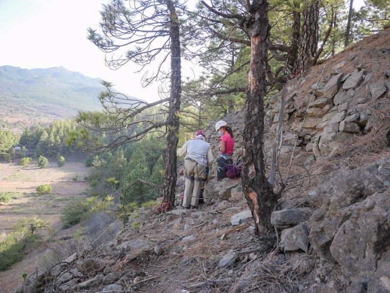 Encuentran restos arqueológicos en La Palma