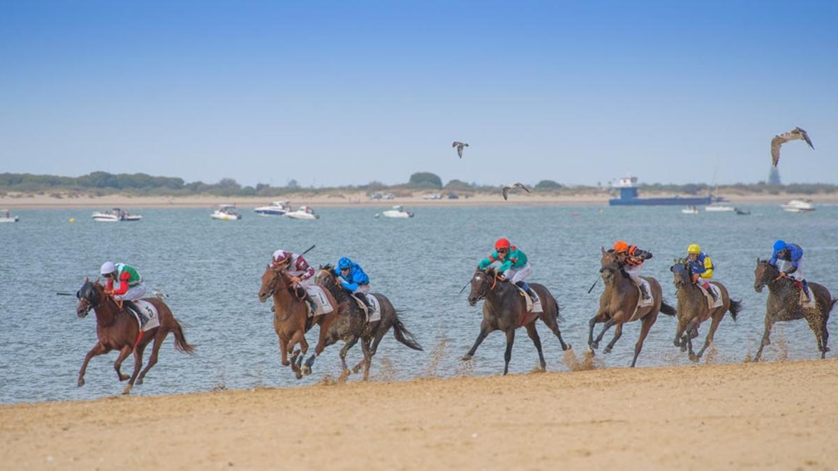 Carreras Sanlúcar de Barrameda caballos