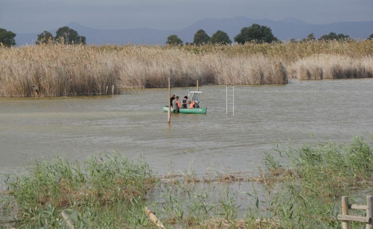 Instalación de los sensores en uno de los humedales