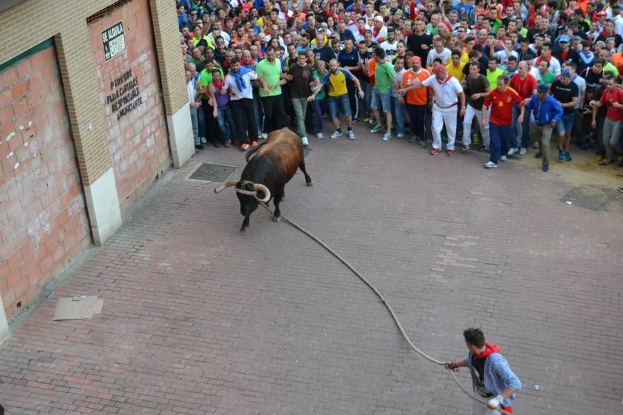 Enmaromado 2016: Así fue el Día Grande en Benavent