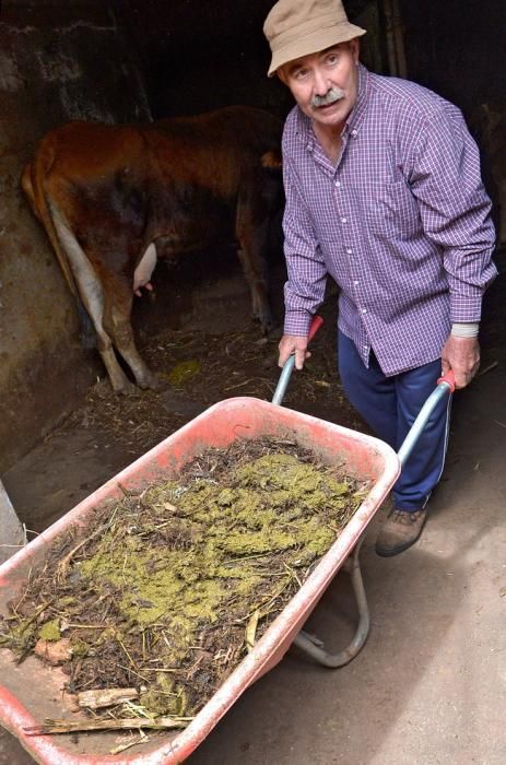 Pepe Guedes, agricultor orgánico