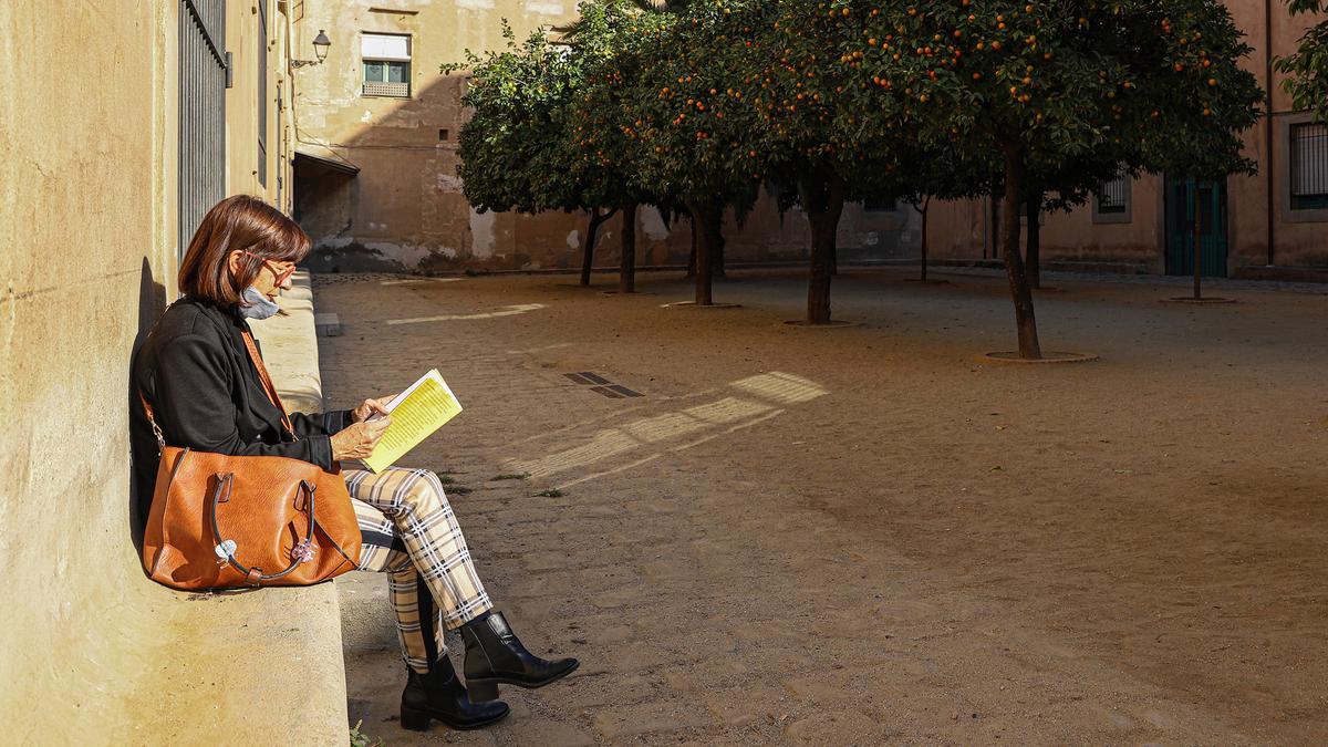 Viandante leyendo en el jardín dels Tarongers.